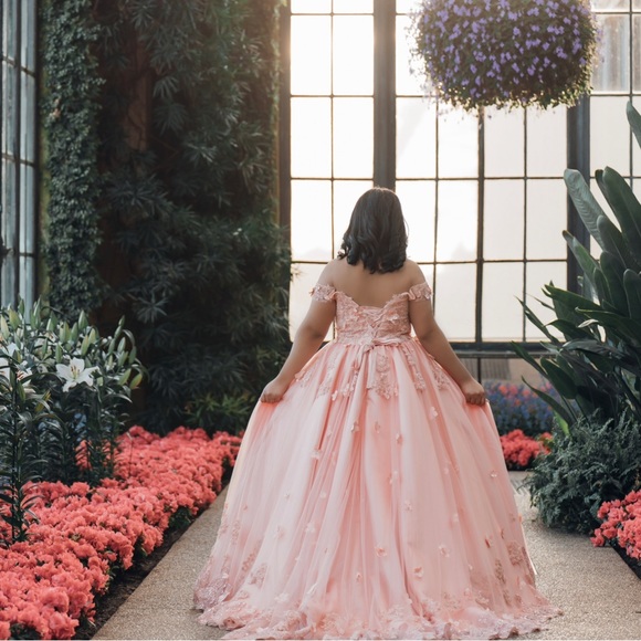 Quinceañera Dress- Formal gown-Blush Pink-PETTICOAT INCLUDED - Picture 2 of 7